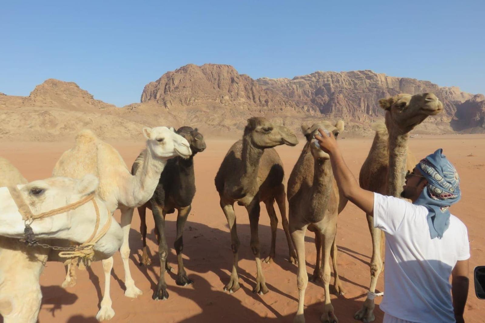 Wadi Rum Sunrise Camp 외부 사진